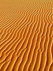 8 pictures - Alejandra Cobos White Sands I