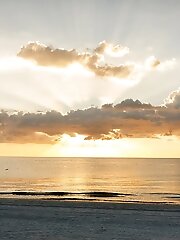 8 pictures - Dita Vetone Crab Slappers 2