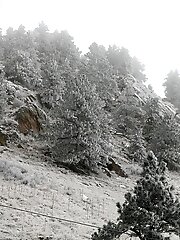 9 pictures - Paige Tabernash Rocky Mountain High