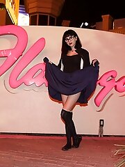 8 pictures - Paisley Osiris Fuzzy Flamingo