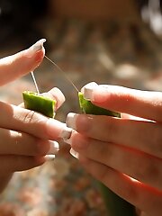 8 pictures - Sidney Alexis Monkey Babies