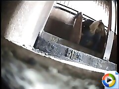 6 movies - Ladies captured peeing in exposed cubicles of a communal toilet Part 2